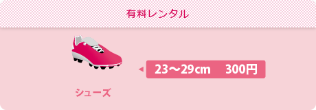 有料レンタル